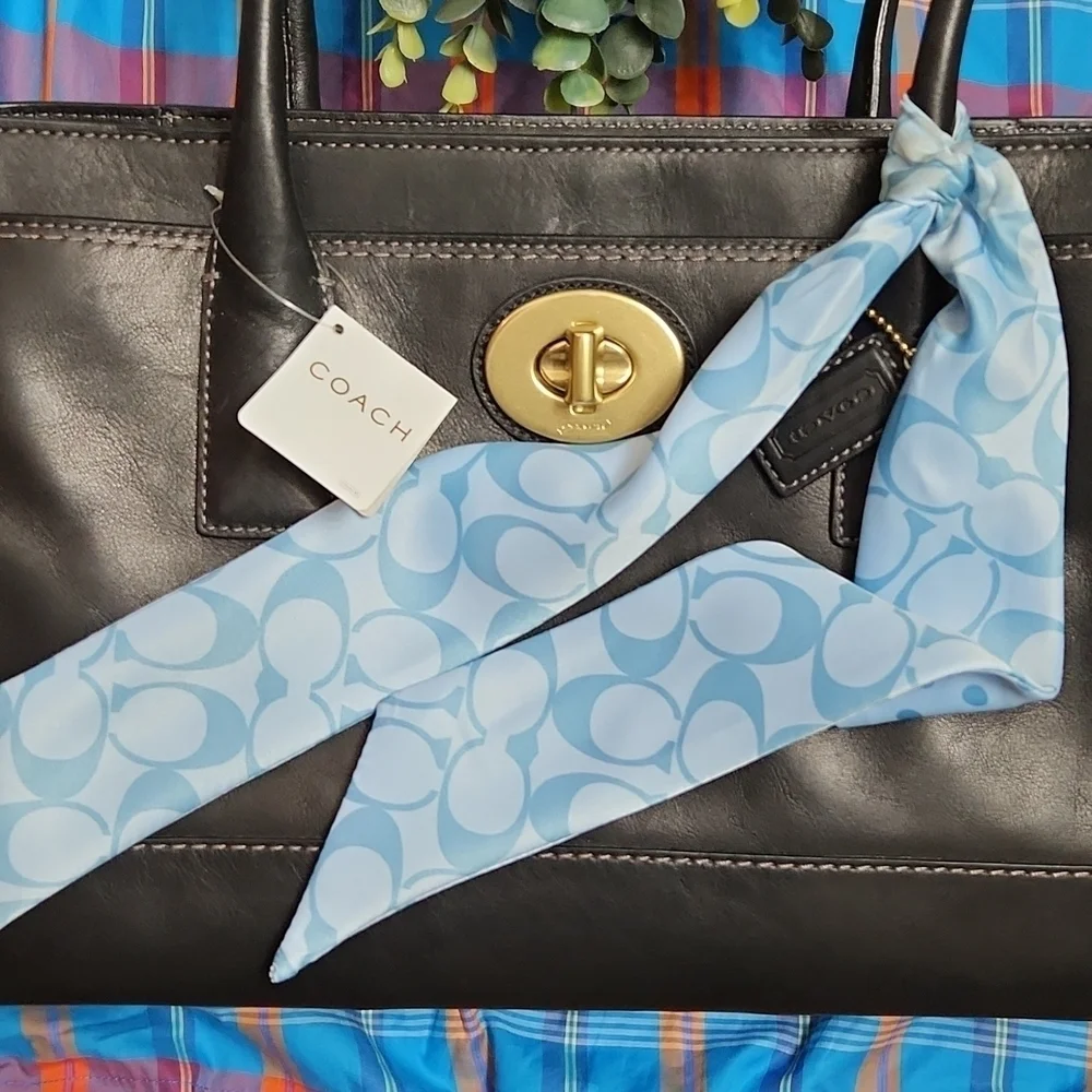 (SOLD!!!) Nwt Coach Madeline Satchel bag - Picture 3 of 16